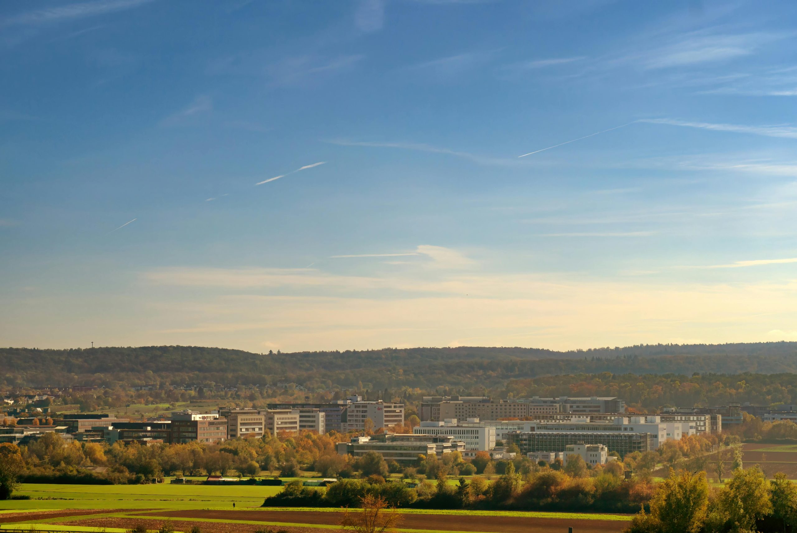 Procurement jobs in Germany – is fluent German always a must?