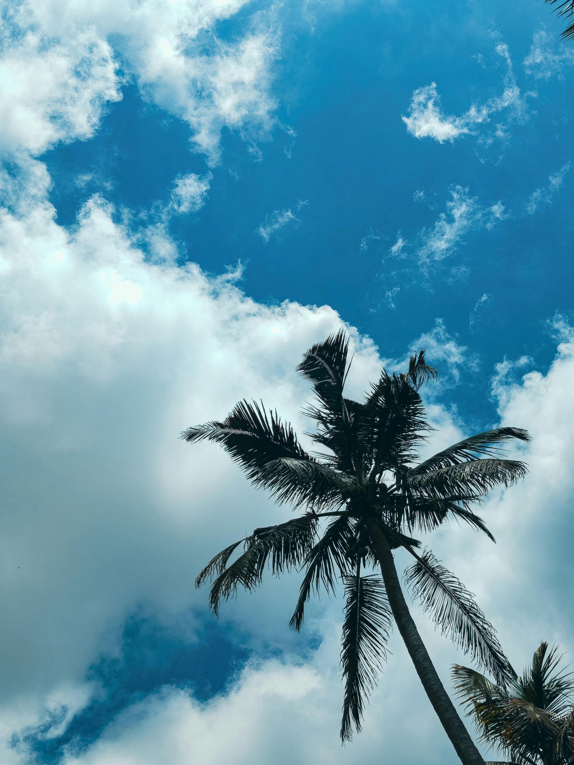 SAP // Ariba – as a supplier