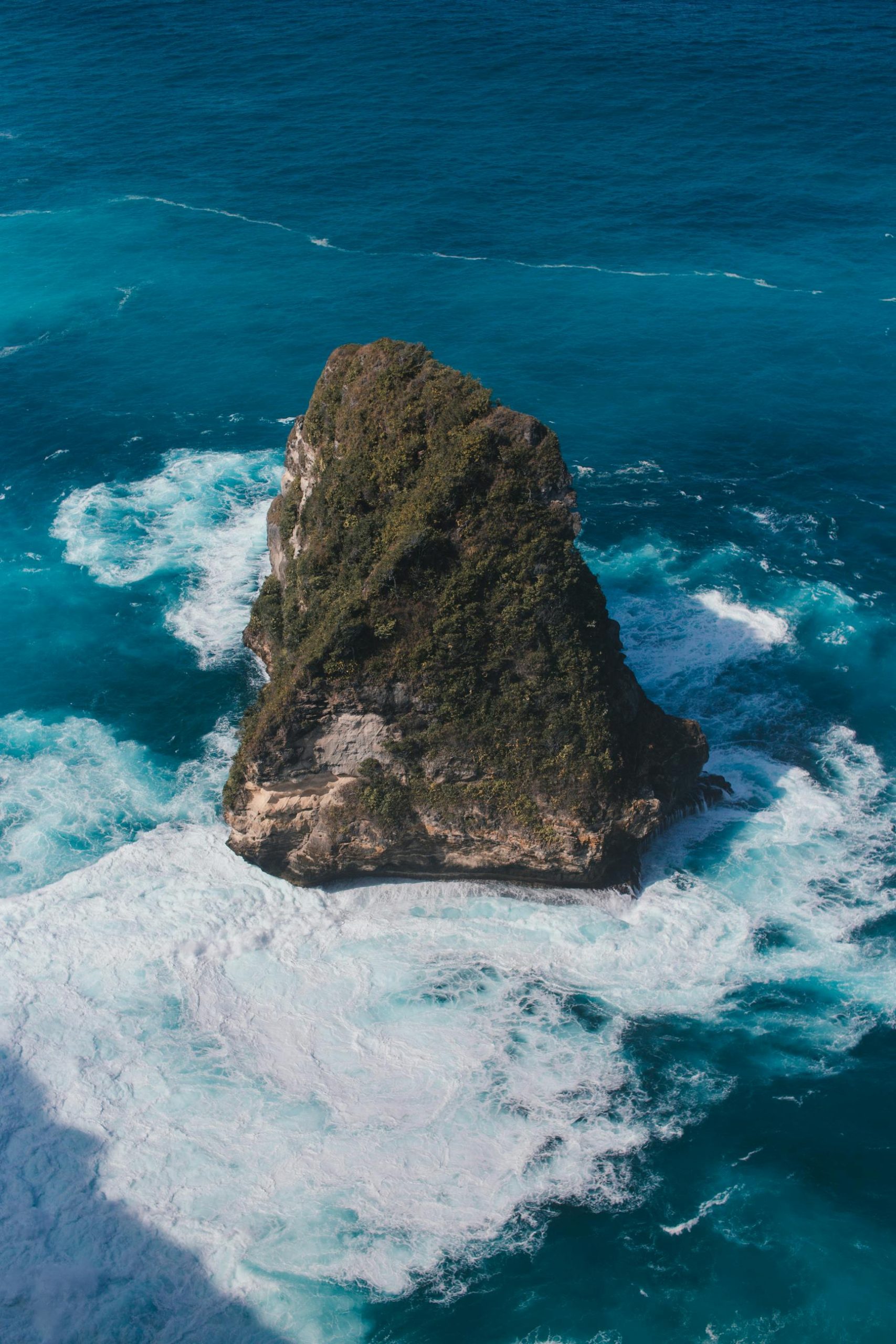 How do you handle massive tenders without drowning in PDFs and endless vendor emails?