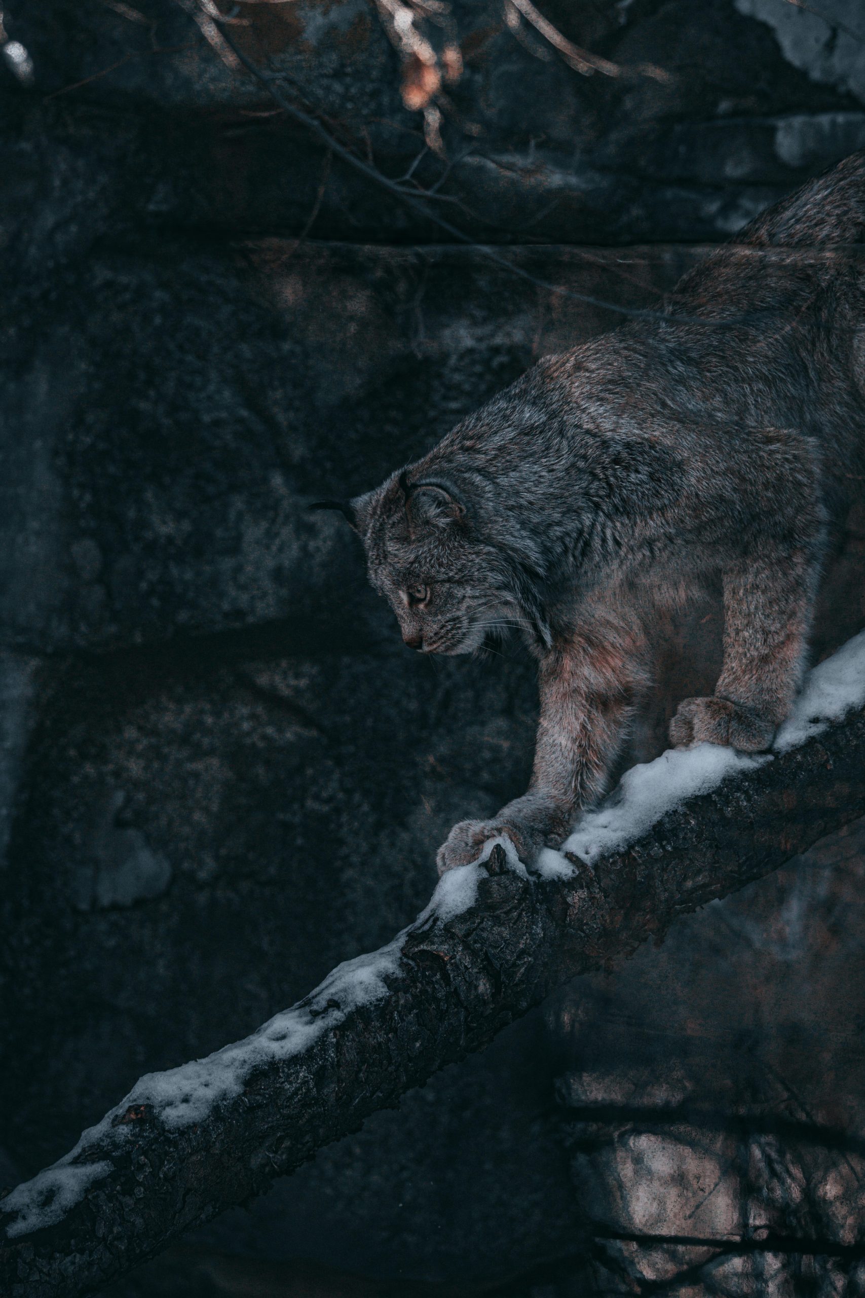 Salary Survey 2025 Megathread