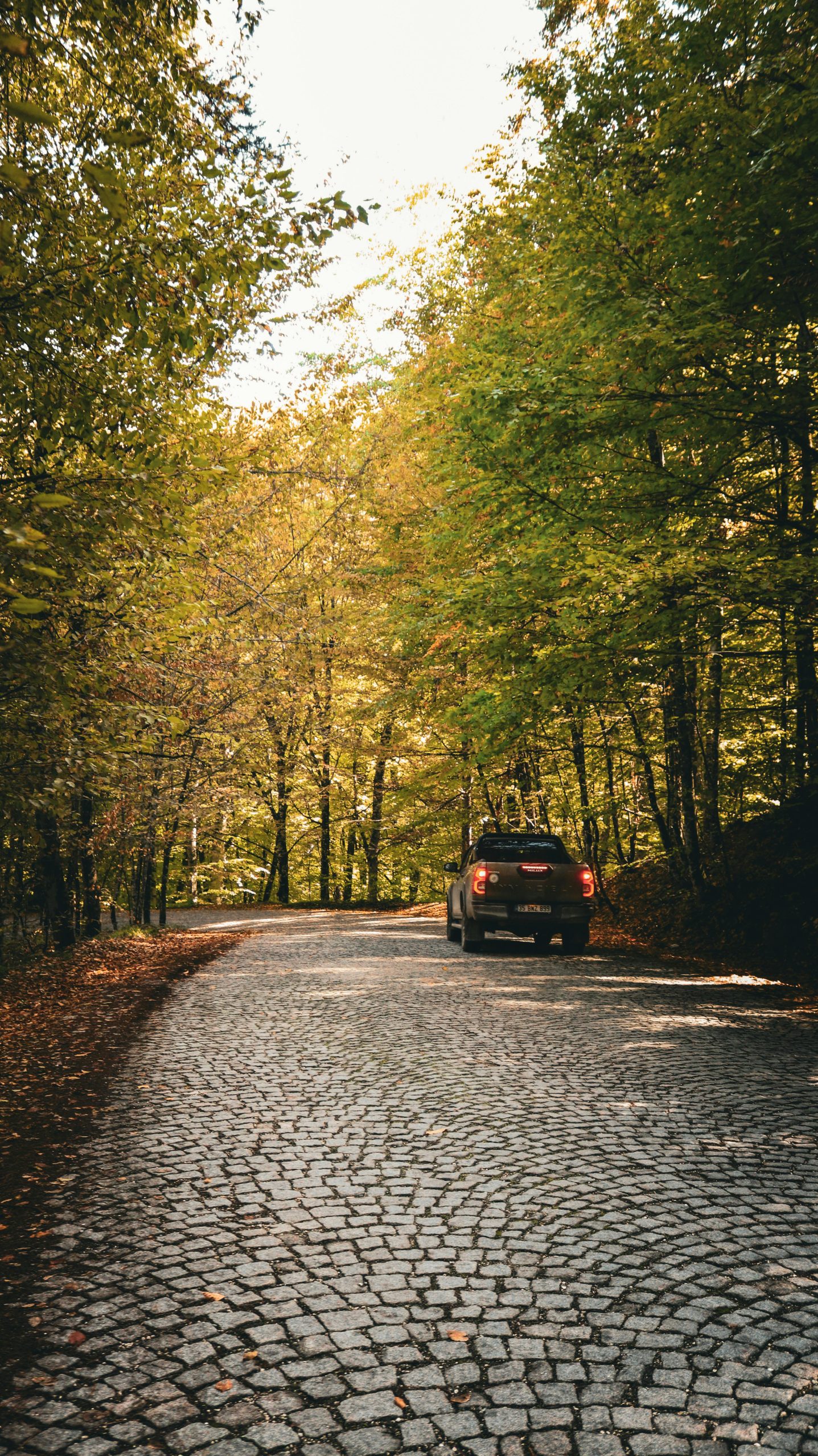 Supplier discovery is driving me insane